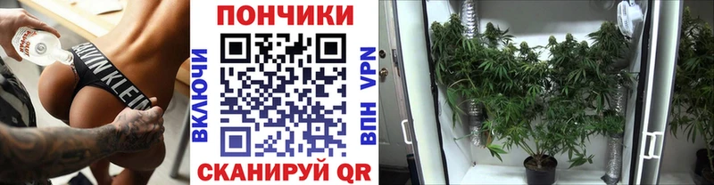 Бошки Шишки конопля Балаково